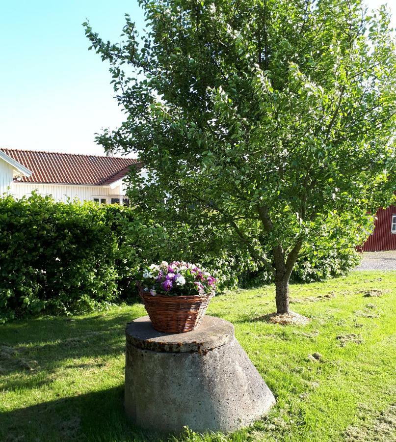 Stenaberg Kungsbacka Exterior foto